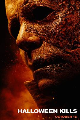 蜘蛛屯网站关键词优化